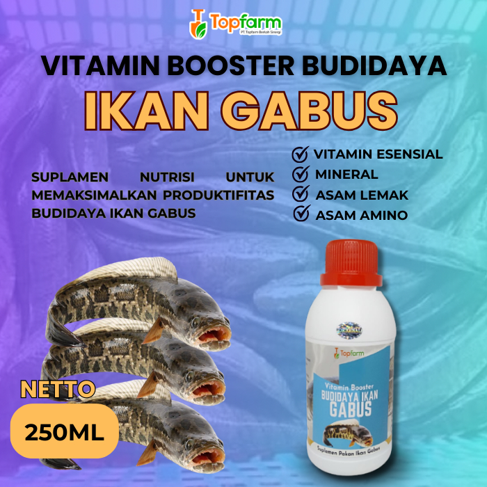 Vitamin Ikan Gabus 250ML/ Vitamin Ternak Ikan Gabus/ Vitamin Ikan Gabus Cepat Besar/ Vitamin Pembesa