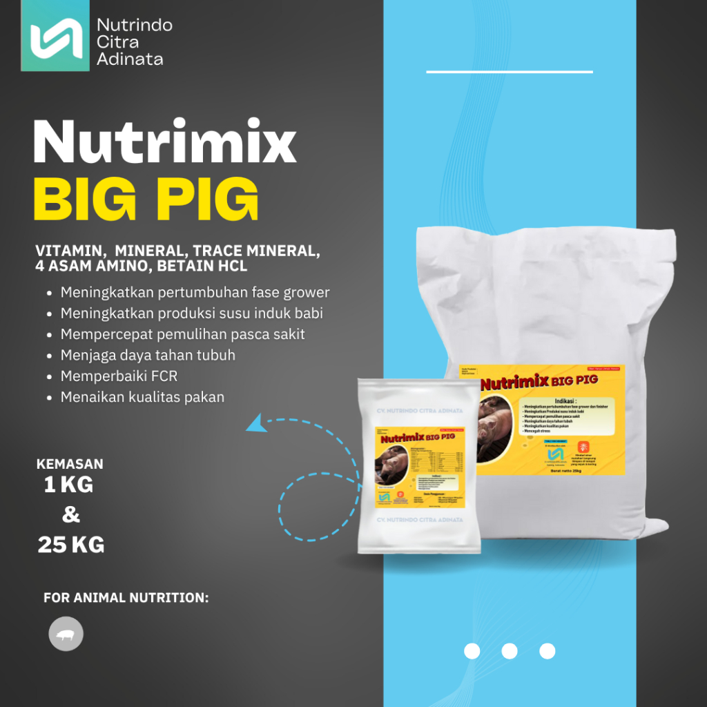 NUTRIMIX BIG PIG - SUPPLEMENT PEMACU TERNAK BABI - PREMIX BABI - MINERAL PREMIX BABI 1KG