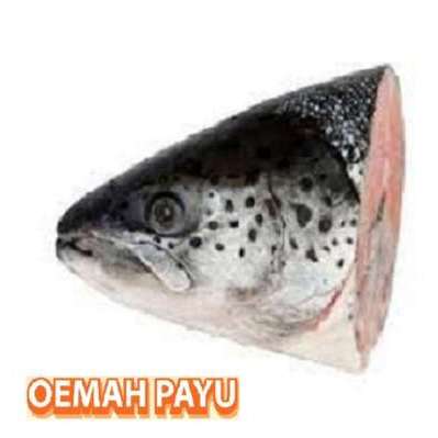 

1 Ekor Kepala Salmon - 2 Kg - Seafood By Oemahpayu