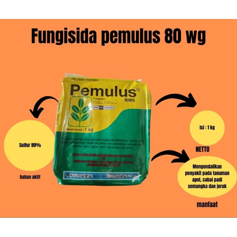 FUNGISIDA PEMULUS 80 WG 1KG