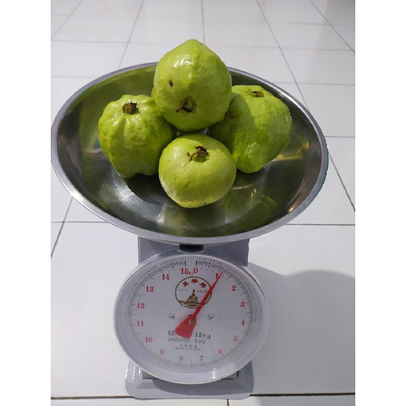 

Jambu Kristal Fresh 1kg