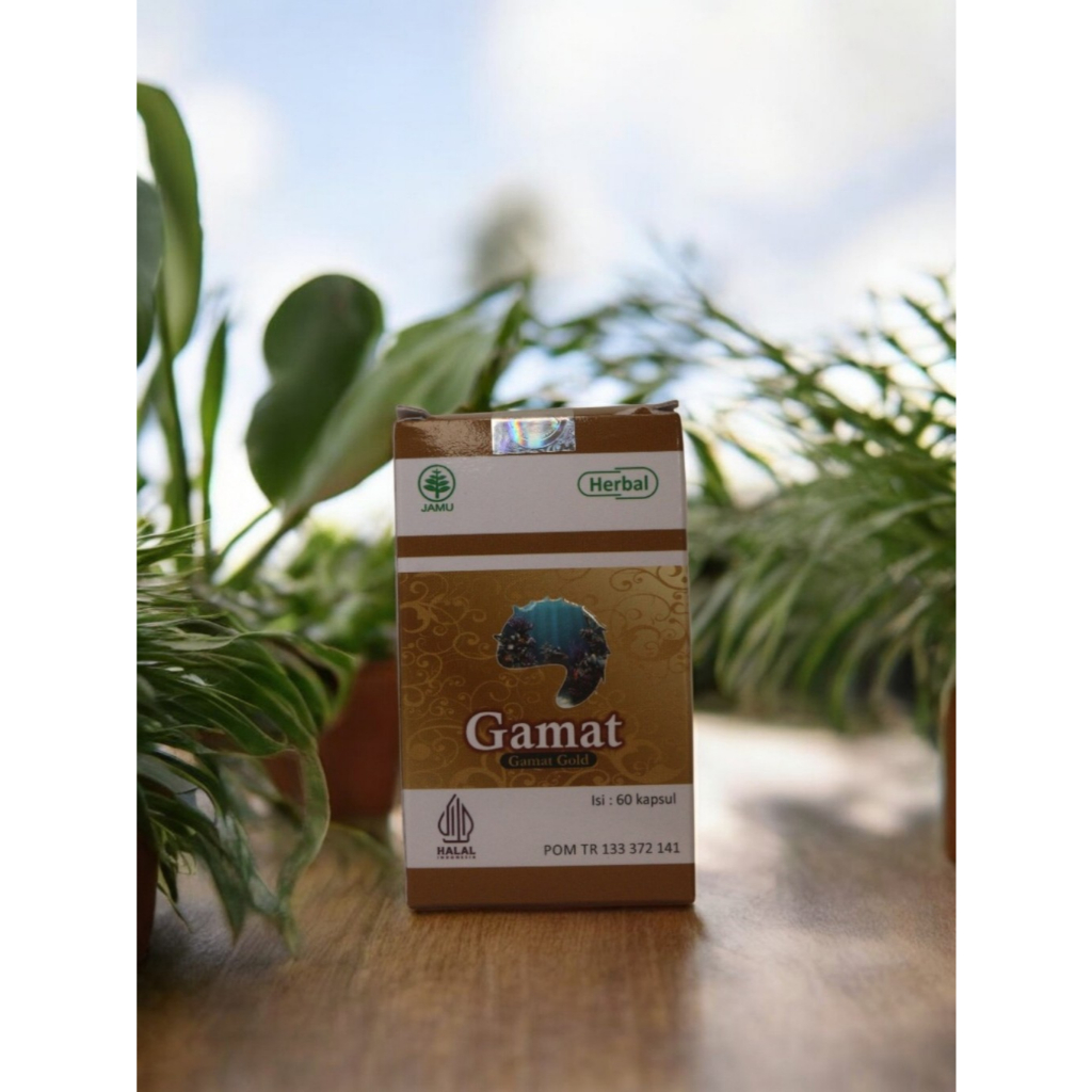 Kapsul Gamat Ekstrak Teripang