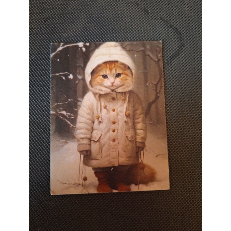 

kartu pos kucing/cat postcard