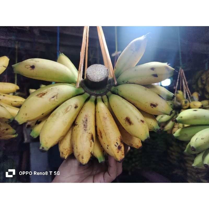 

pisang lampung, muli manis 1 sisir