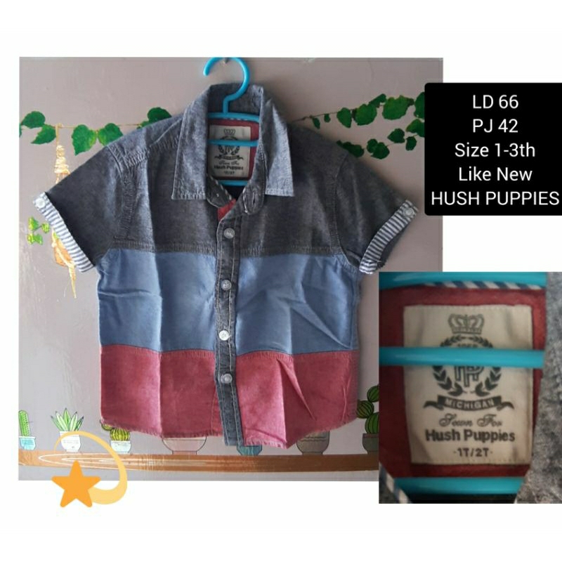 Kemeja Anak cowok merk Crocodile