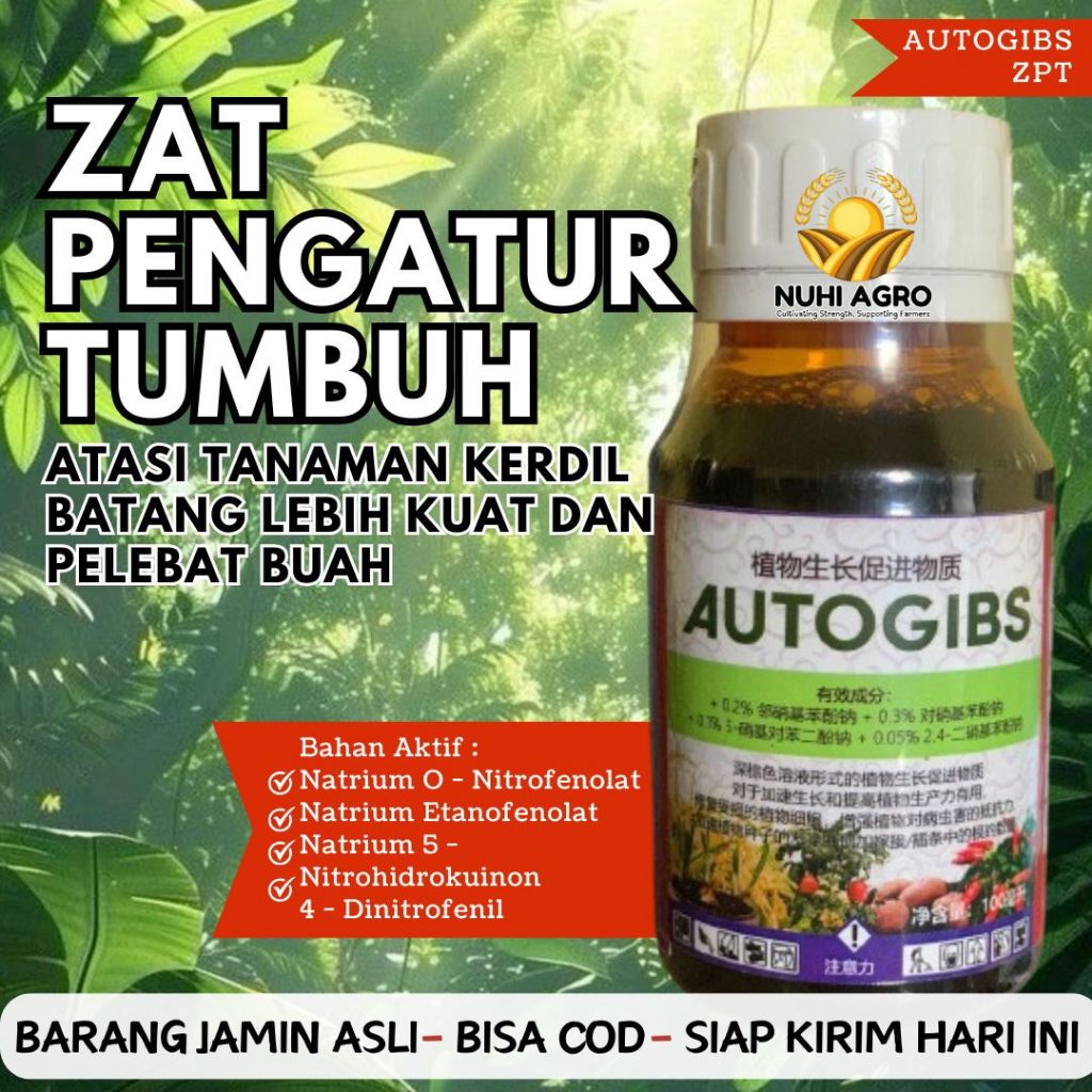 AUTOGIBS ZPT PUPUK MENGOBATI PENYAKIT KERDIL PADI ASAM-ASAMAN DAN PERTUMBUHAN