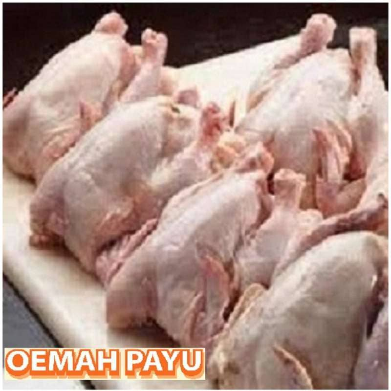Daging Ayam Broiler 1 Ekor - Utuh 1Kg Frozen - By Oemahpayu