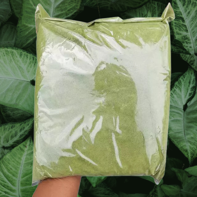 

Serbuk bubuk daun kelor untuk kesehatan 500 gram/ setengah kg