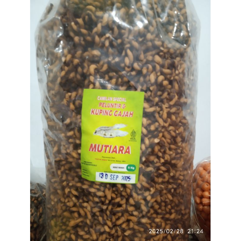 

Untir Mini belang/ plintiran belang