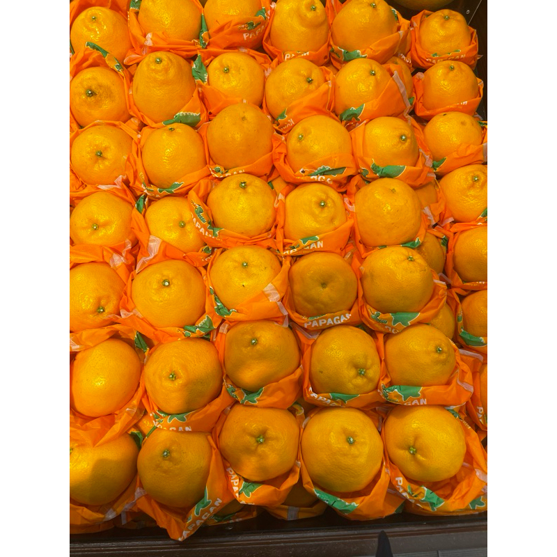 

jeruk dekopon papagan dino fresh 1kg