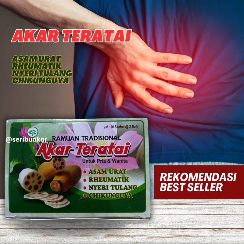 

jamu tradisional akar teratai asli 100%