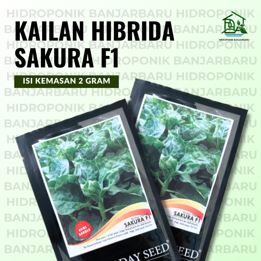 BENIH KAILAN SAKURA F1 ISI 2 GRAM
