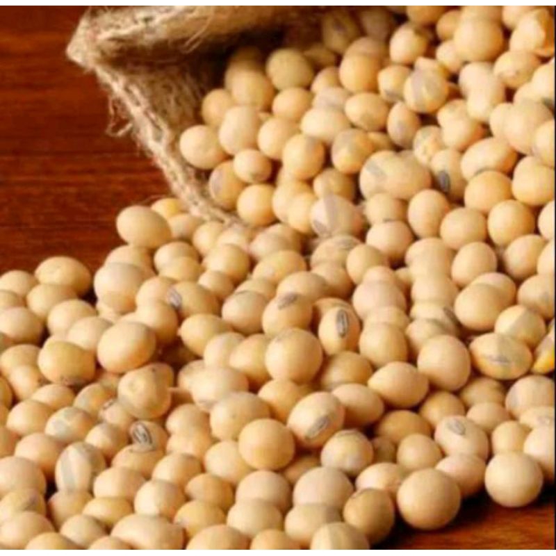 

Kacang kedelai premium