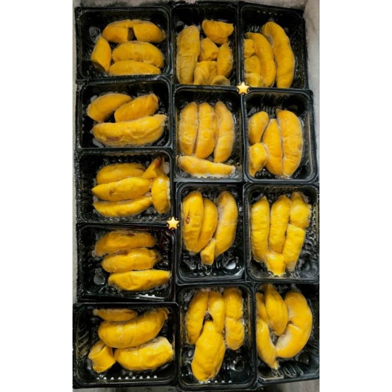

DURIAN MUSANGKING ASLI PAHANG MALAYSIA GRADE AAA