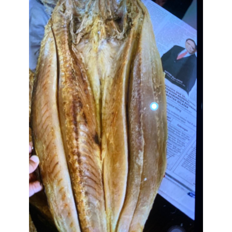 

ikan asin