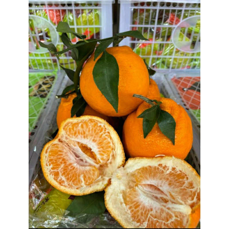 

jeruk dekopon 6kg keranjang