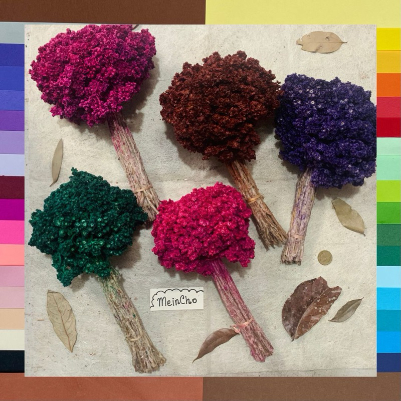 (50-100 tangkai) GROSIR Bunga Kering Edelweiss JUMBO Big Besar Edelwis Edelwiss Edelweis Budidaya