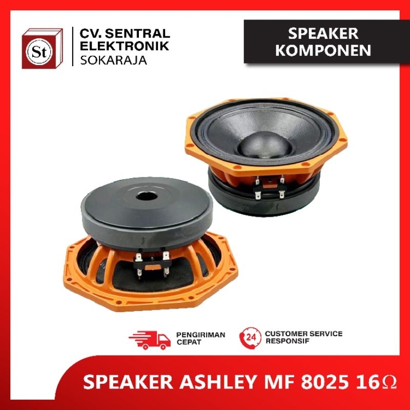 SPEAKER ASHLEY 8025/16 OHM