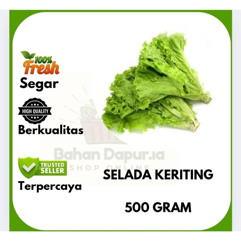

SELADA KERITING | 500 GRAM | Bahan Dapur id