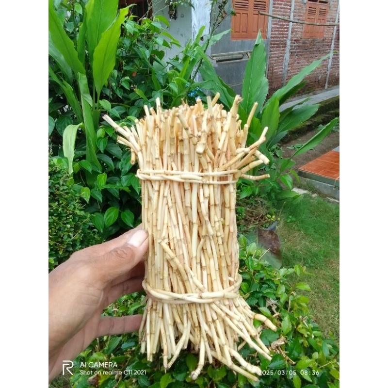 

Paker Termurah 500 Hram Akar Alang-alang Fresh Herbal Atasi Batu Ginjal Ampuh Atasi Kencing Manis Alami