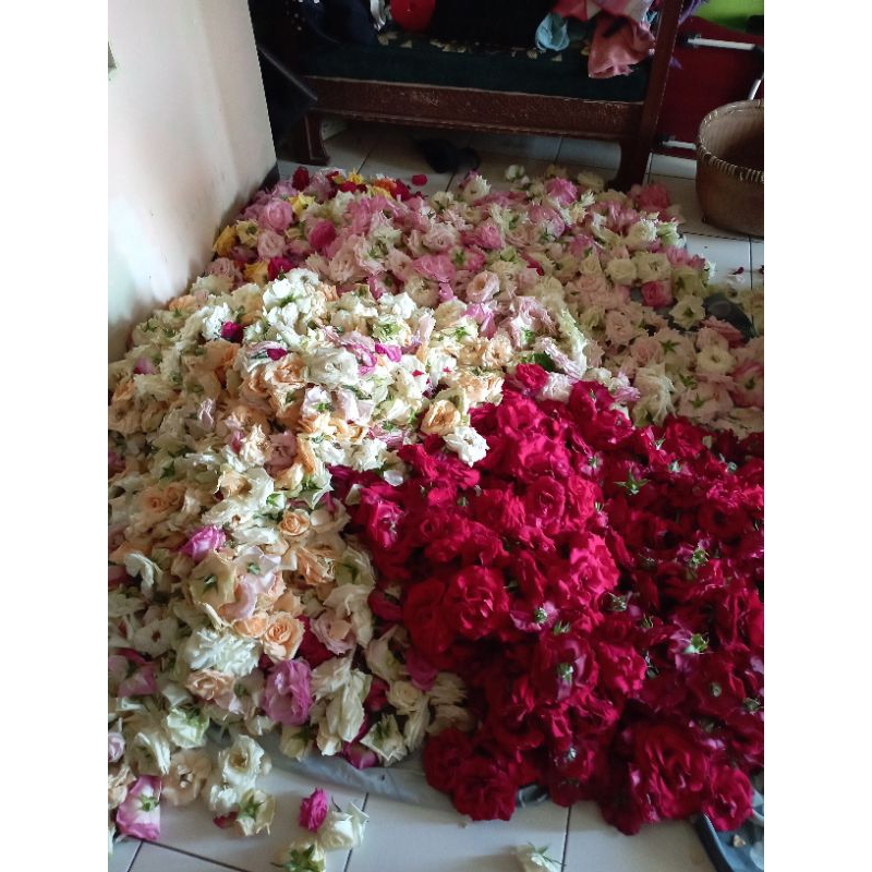 

tabur mawar 50 pcs Harga 50rb