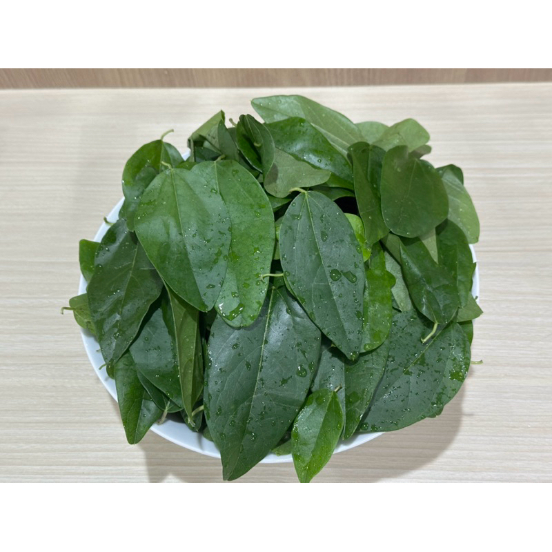 

daun cincau rambat segar fresh tanpa pestisida