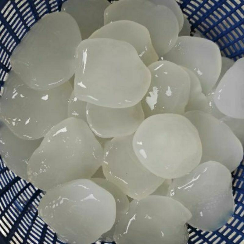 

PROMO SEGAR Kolang kaling Mentah 1kg super Medan ready