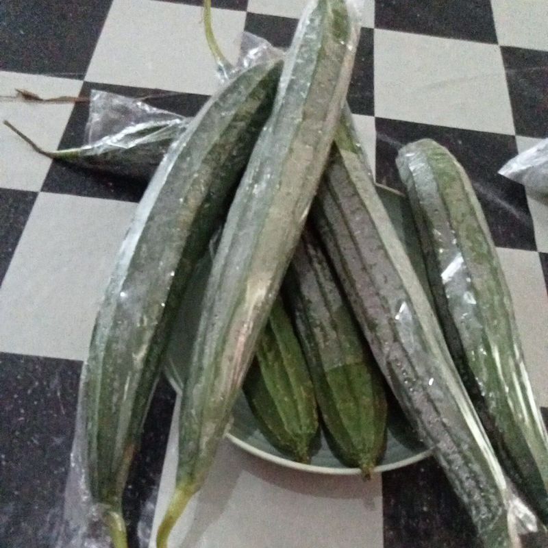 

Oyong Sayur Pilihan Fresh 1KG