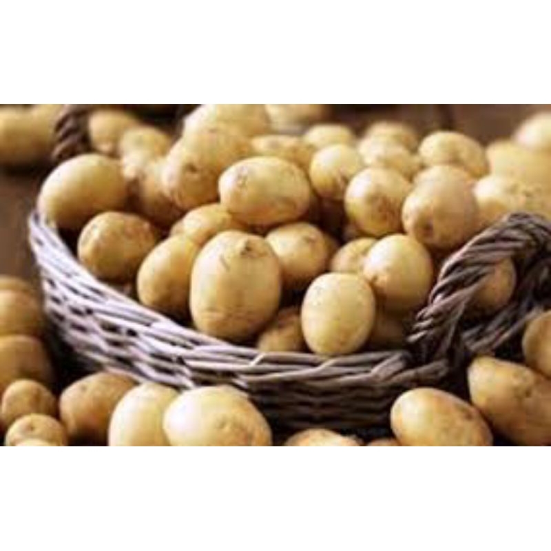 

Kentang Fresh 1kg Langsung Dari Petani