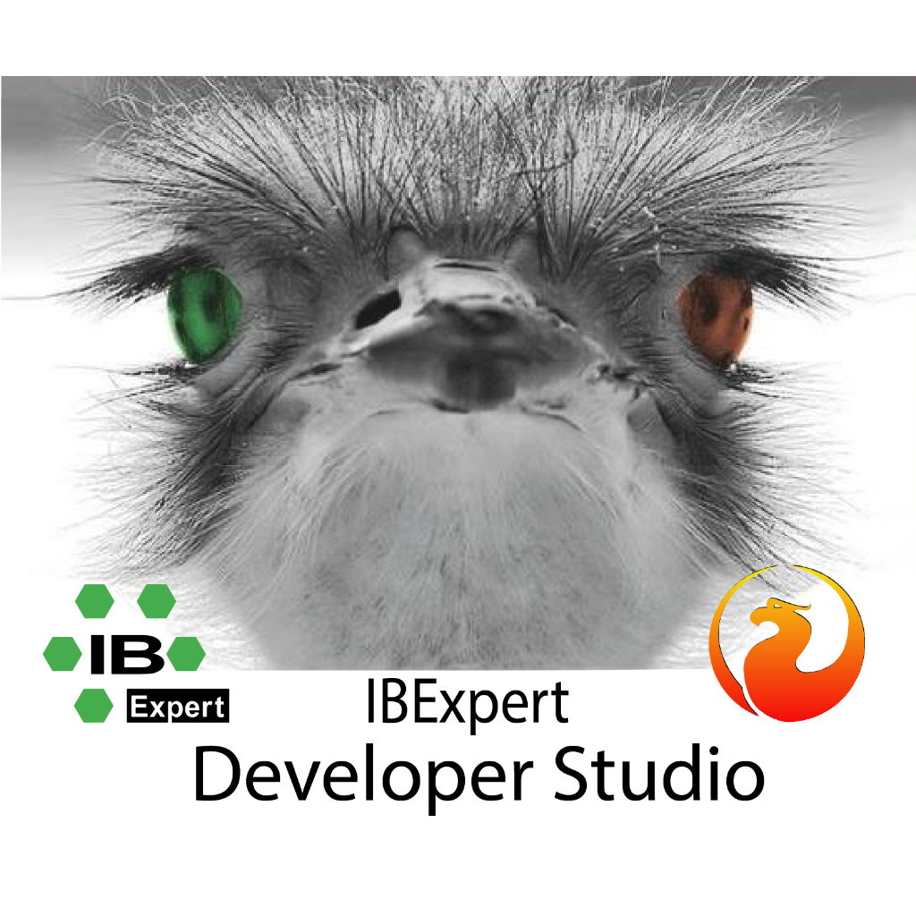 IBExpert Developer Studio 2025.02.27