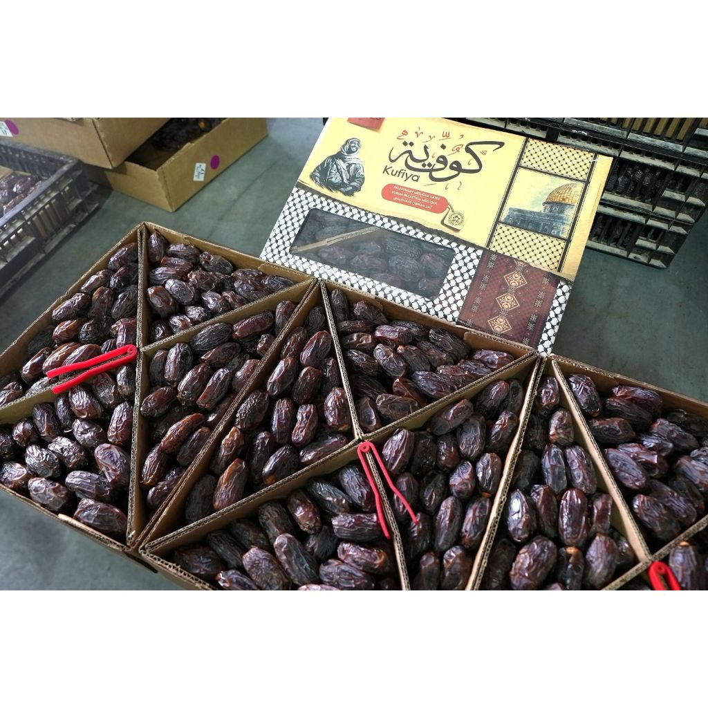 

Kurma Medjool Palestina Ori Sertifikat 5kg