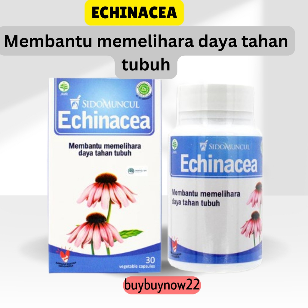 

Sido Muncul Echinacea 30 Kapsul - Menjaga Imunitas Tubuh dari ISPA