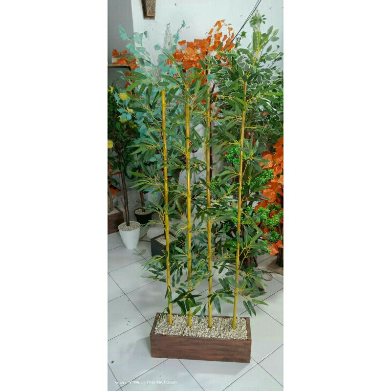 Bambu Sekat  Ruangan//Bambu Hias//Bambu Hoki