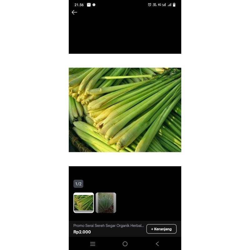 

Sereh sayur masih segar promo 1kg