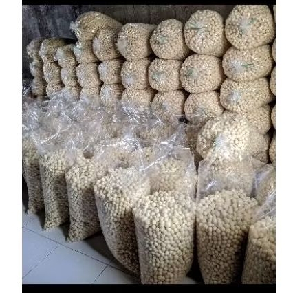 

ENDOG LEWO|| CEMILAN || RENYAH || EMPLOD GURIH || 500gr Original Gurih
