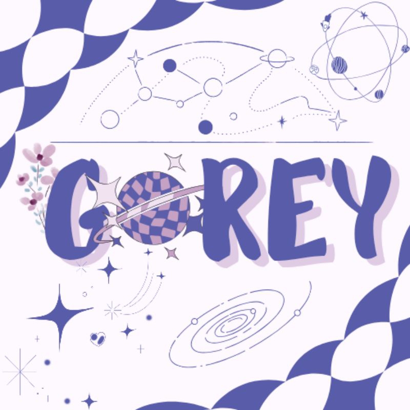 

CO PACKING GOREY｡⁠✧