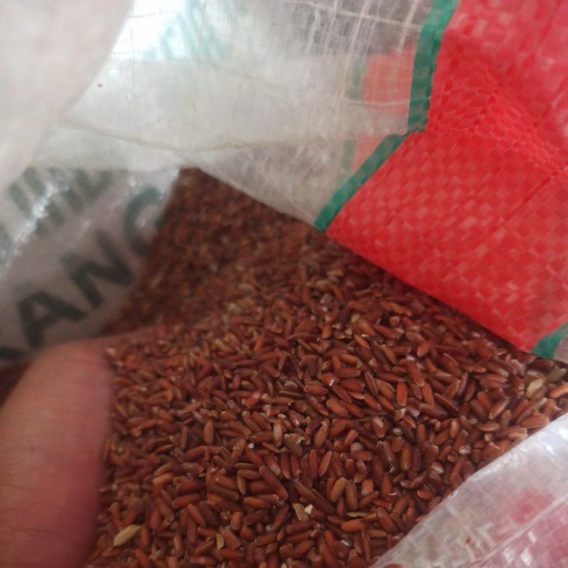 

Beras Merah pilihan