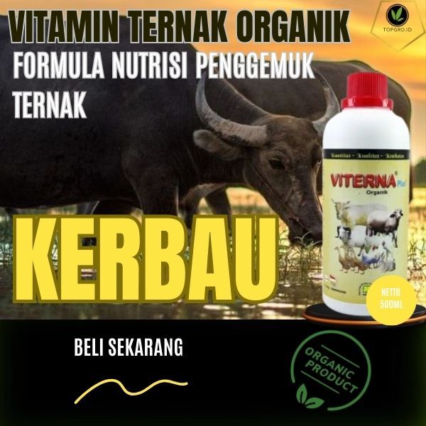 Vitamin Kerbau / Vitamin Kerbau Emas / Gold / Vitamin Kerbau Gold Waleri / Vitamin Penggemuk Kerbau