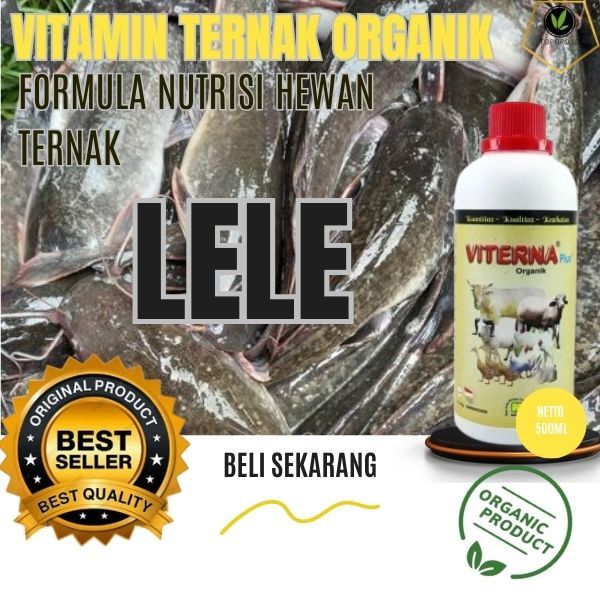 Vitamin Ikan Lele Bibit / Vitamin Ikan Lele / Vitamin Ikan Lele Cepat Besar / Lele Hidup / Albino