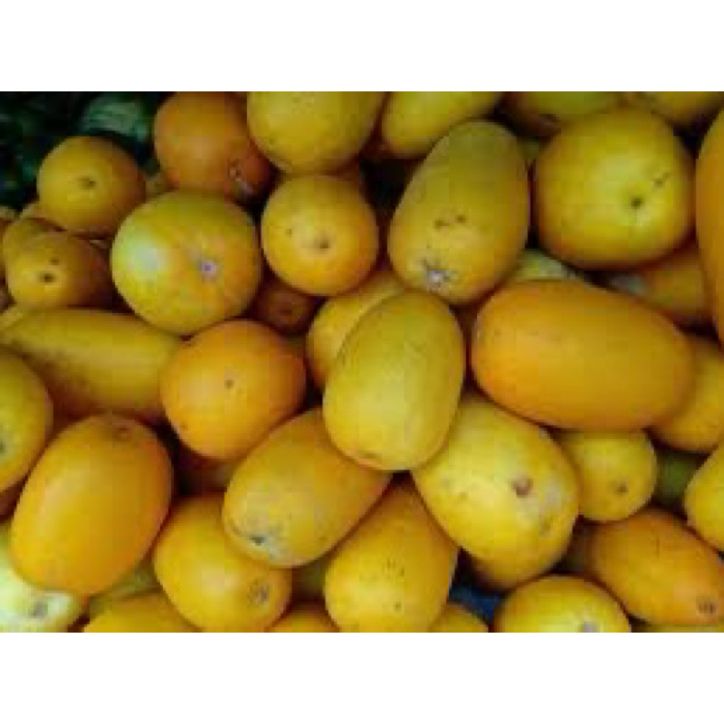 

Timun suri 1 butir 1kg