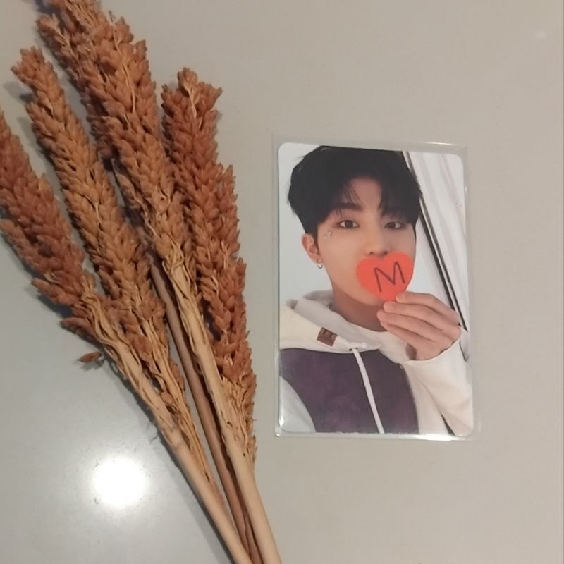 Official Photocard Jeongwoo Treasure Album Jikjin blue ver