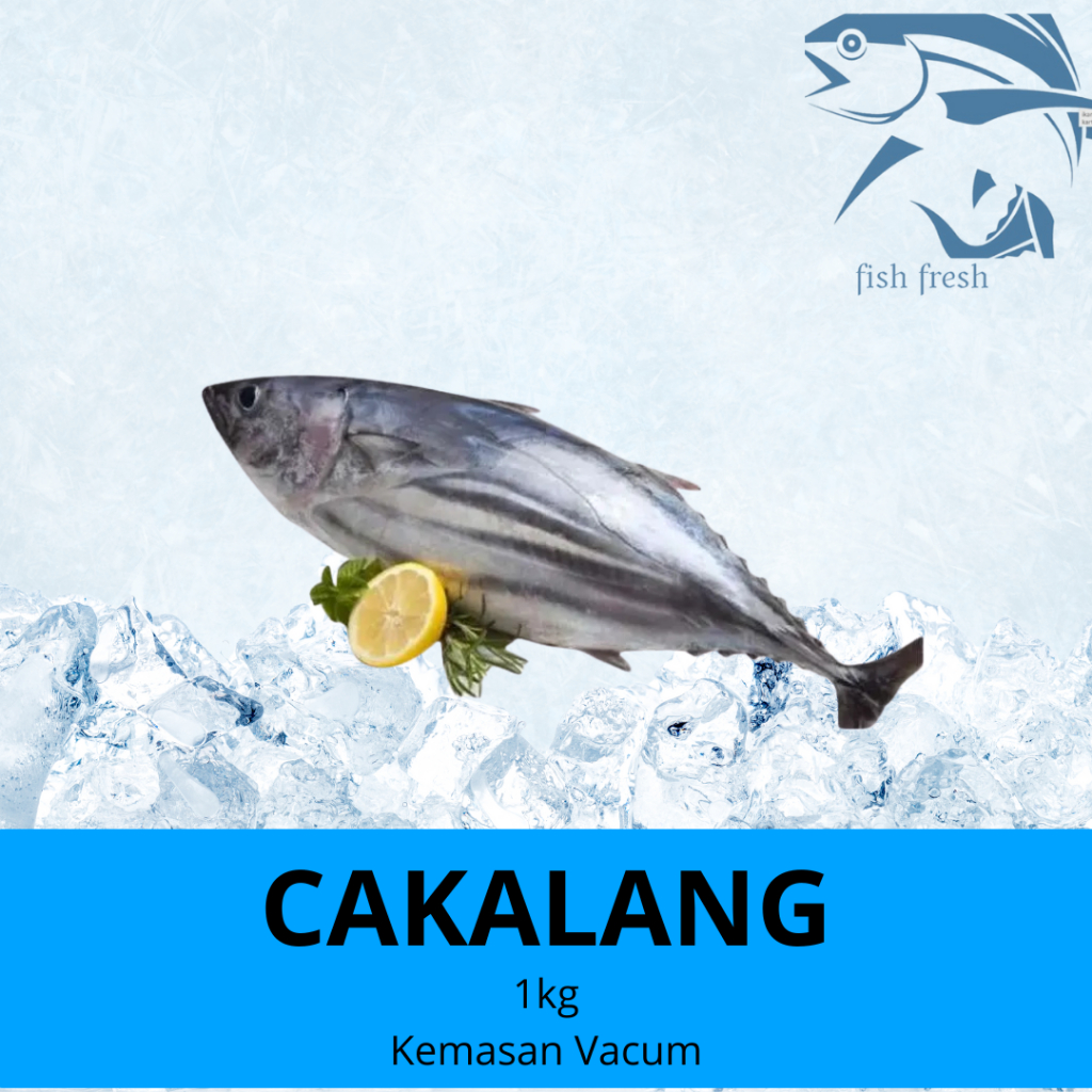 

IKAN CAKALANG FROZEN 1 KG KUALITAS SEGAR