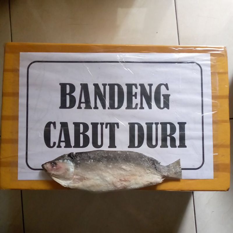 

Bandeng segar cabut duri