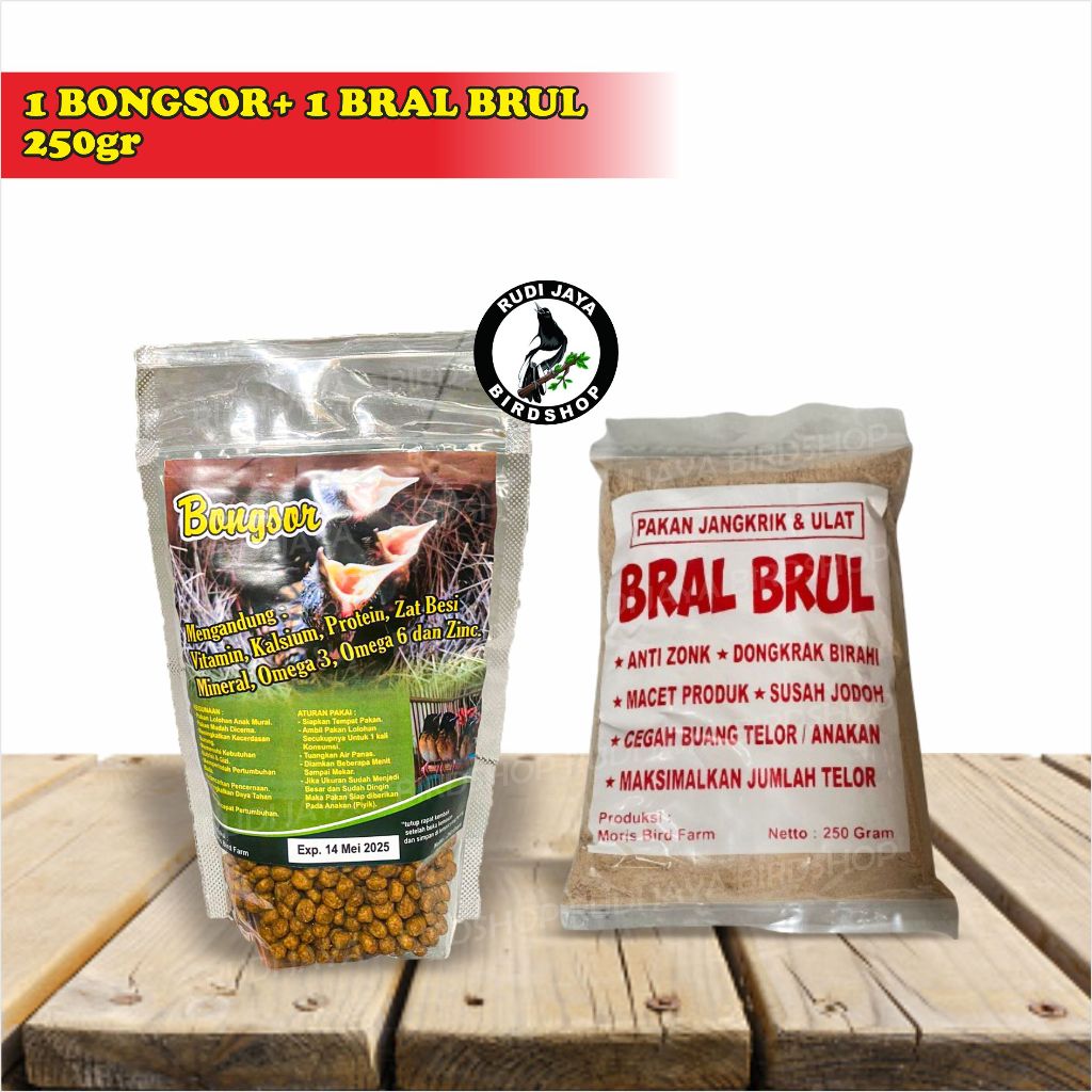 BONGSOR LOLOH DARI BRAL BRUL PELET PAKAN MAKANAN LOLOHAN PIYIK ANAKAN BURUNG MURAI KACER WAMBI