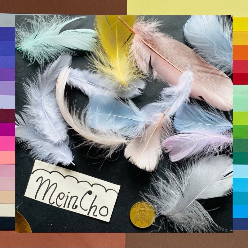 (3 biji) Bulu Angsa Warna Putih Bulu Ayam Bulu Jago Isian Hampers Properti Foto Dekorasi Rustik