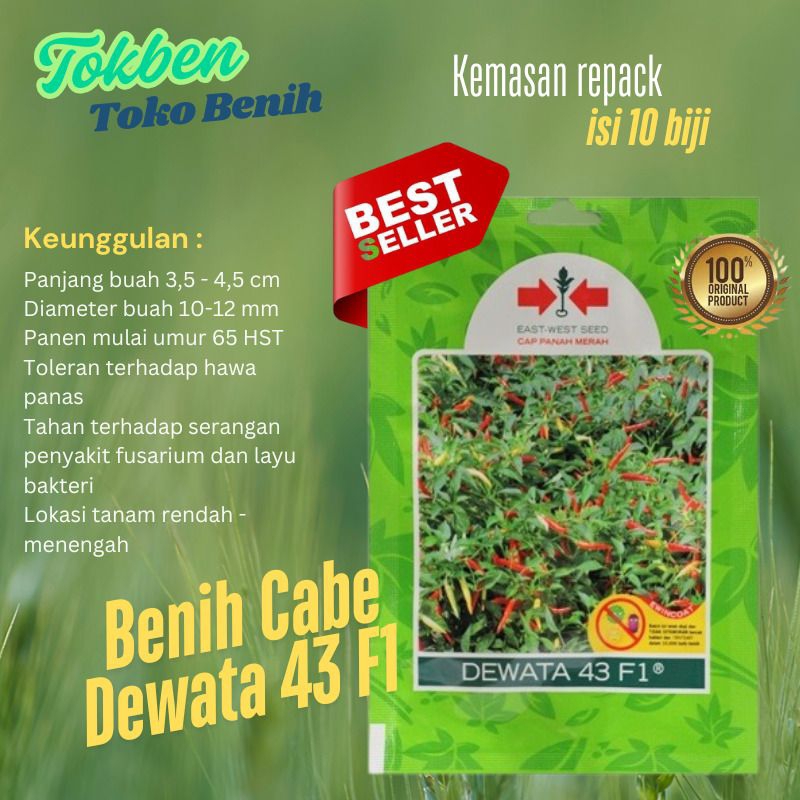 10 Benih Cabe Rawit Dewata 43 F1 cabai cap panah merah