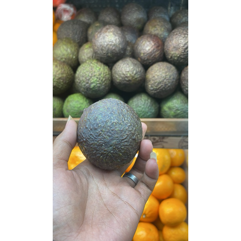 

Alpukat has australia fresh 1kg