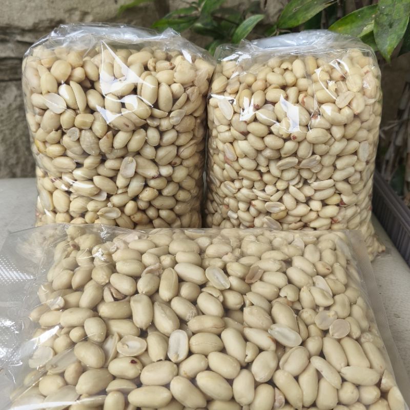 

KACANG KUPAS/KACANG PLENCET GURIH UKURAN BESAR DAN KECIL