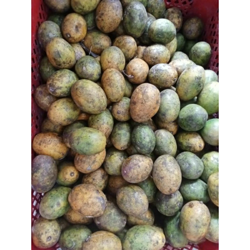 

satu kg buah segar kedondong buah musiman