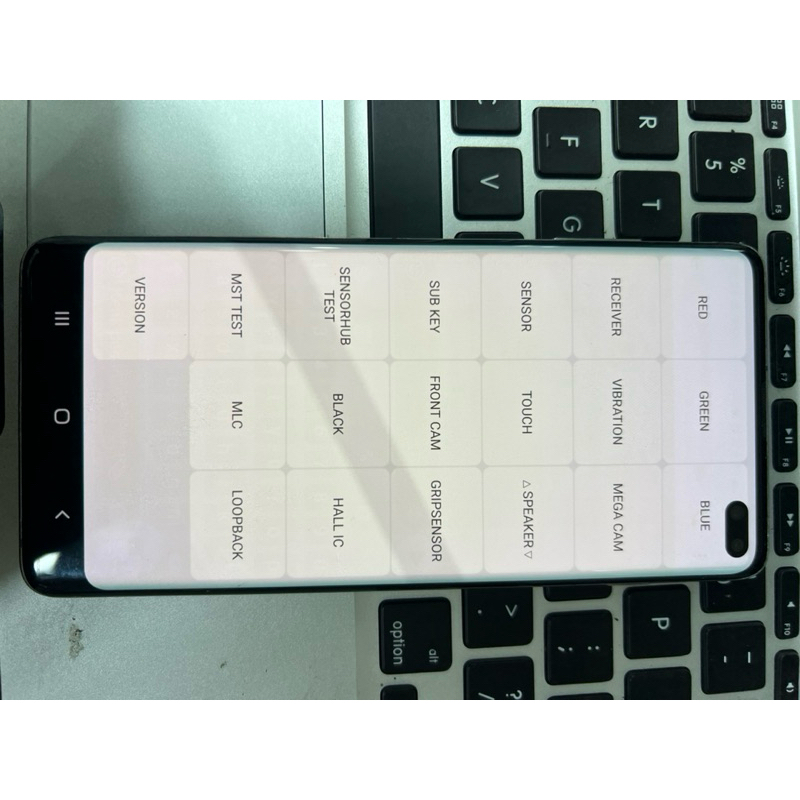 LCD SAMSUNG S10 plus